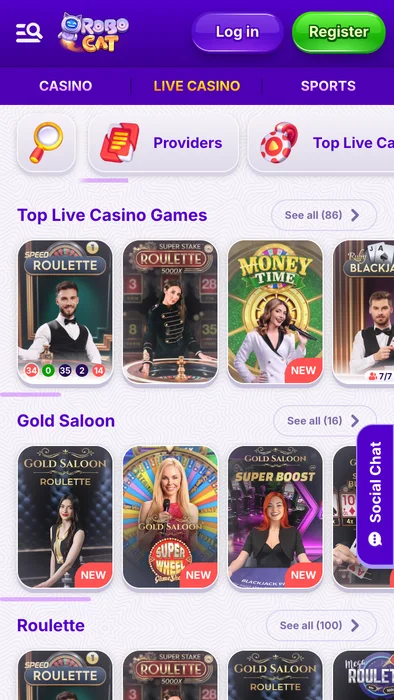 RoboCat Casino biblioteka gier i dostawcy